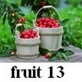 fruit 13 фотопечать